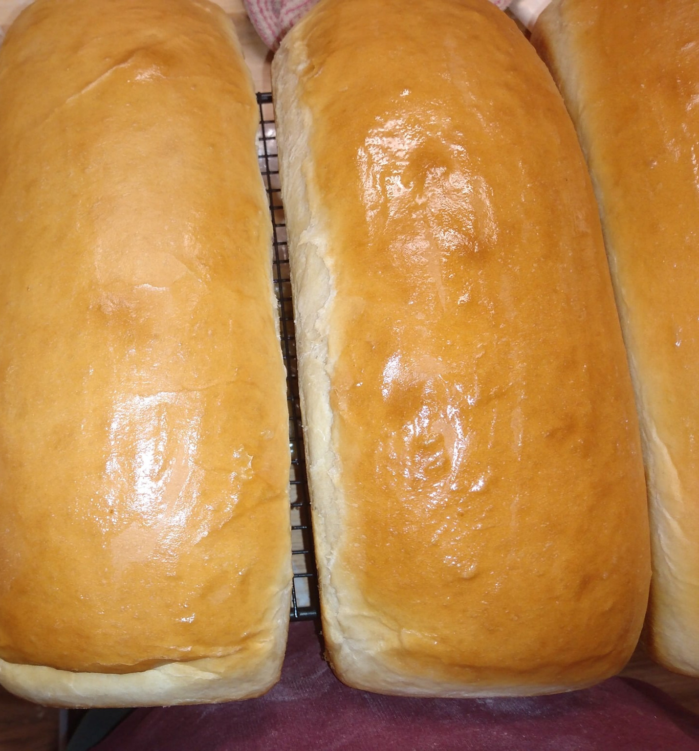 white bread